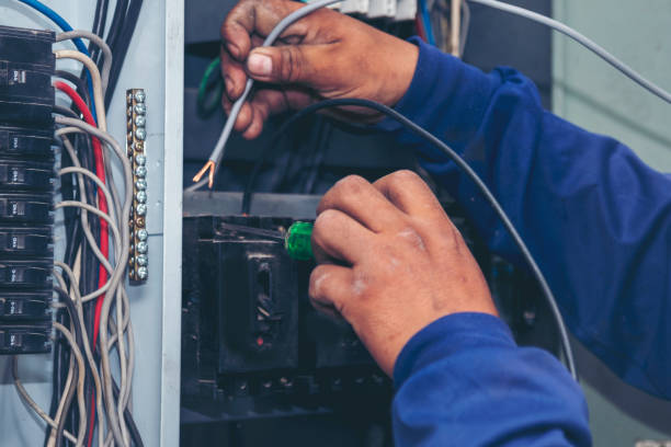 Best Electric Panel Repair  in Shell Lake, WI