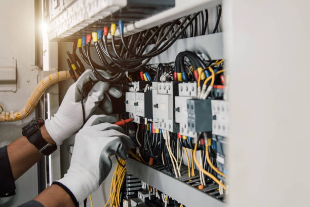Best Local Electrician Companies  in Shell Lake, WI